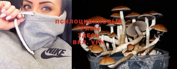 молекула духа Армянск